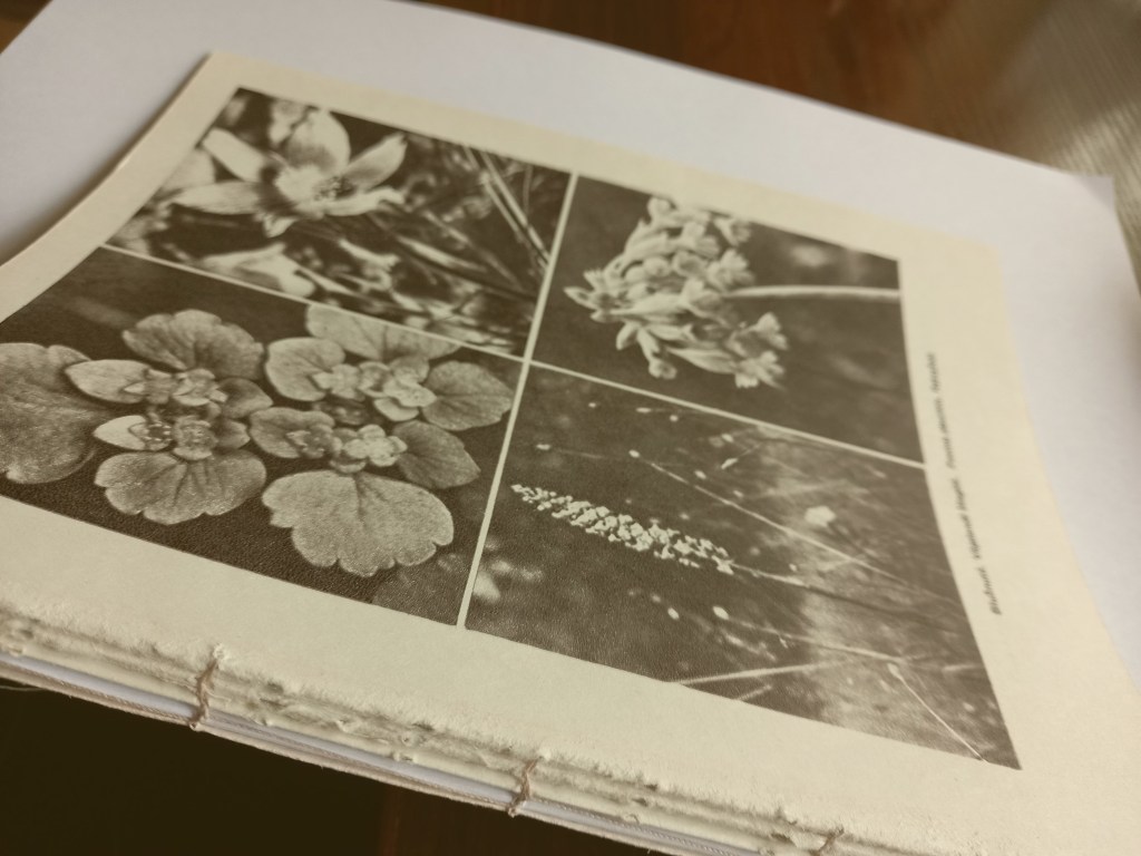 Bookbinding altered books